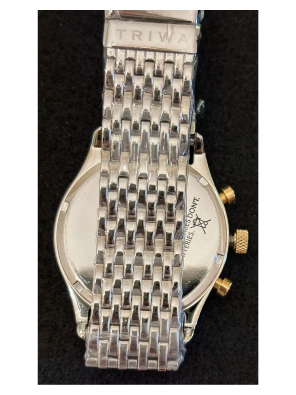 NWT Anthropologie TRIWA Ivory Lansen Chrono Steel Brace Watch  Unisex